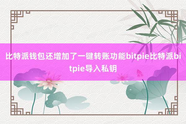 比特派钱包还增加了一键转账功能bitpie比特派bitpie导入私钥