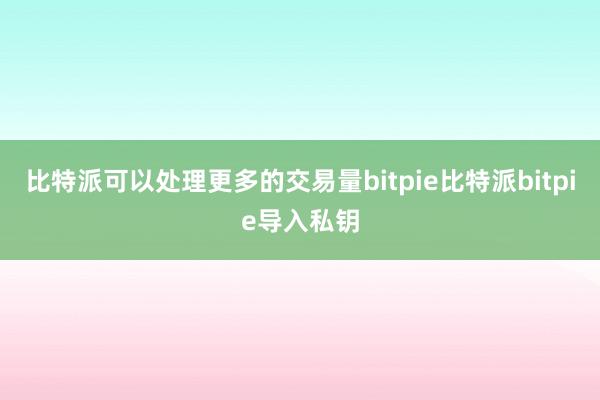 比特派可以处理更多的交易量bitpie比特派bitpie导入私钥