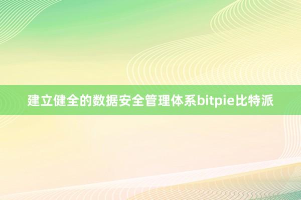 建立健全的数据安全管理体系bitpie比特派