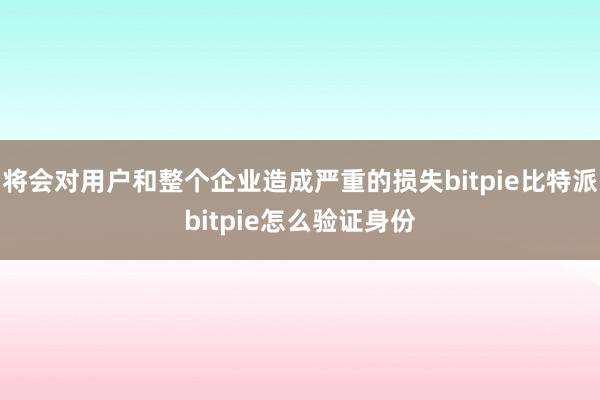 将会对用户和整个企业造成严重的损失bitpie比特派bitpie怎么验证身份