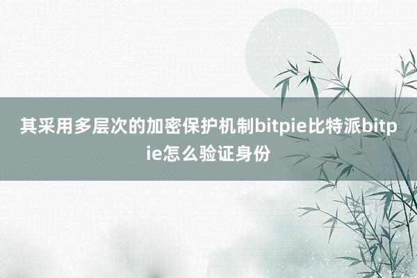 其采用多层次的加密保护机制bitpie比特派bitpie怎么验证身份