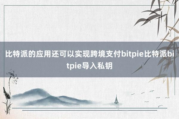 比特派的应用还可以实现跨境支付bitpie比特派bitpie导入私钥