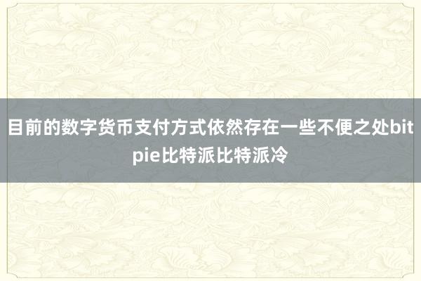 目前的数字货币支付方式依然存在一些不便之处bitpie比特派比特派冷