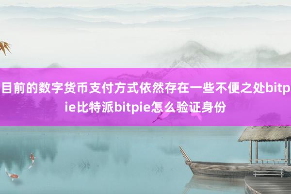 目前的数字货币支付方式依然存在一些不便之处bitpie比特派bitpie怎么验证身份