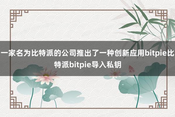 一家名为比特派的公司推出了一种创新应用bitpie比特派bitpie导入私钥