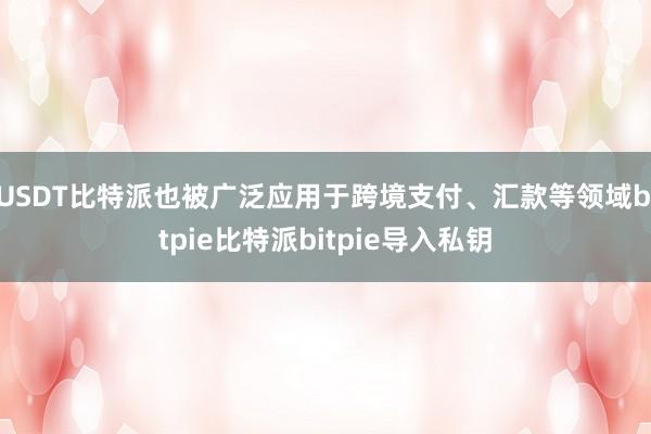 USDT比特派也被广泛应用于跨境支付、汇款等领域bitpie比特派bitpie导入私钥