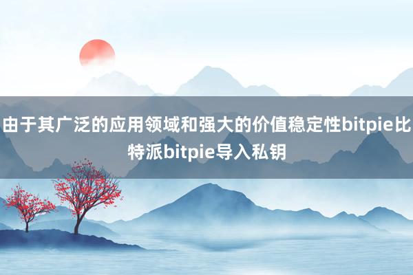 由于其广泛的应用领域和强大的价值稳定性bitpie比特派bitpie导入私钥