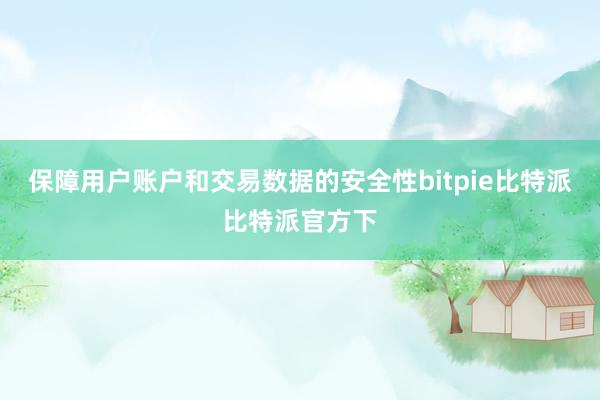 保障用户账户和交易数据的安全性bitpie比特派比特派官方下