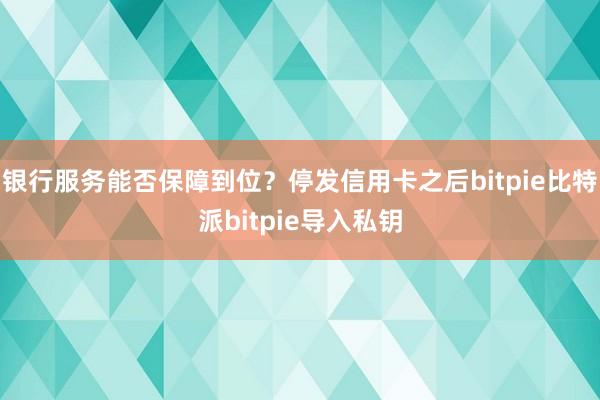 银行服务能否保障到位？停发信用卡之后bitpie比特派bitpie导入私钥