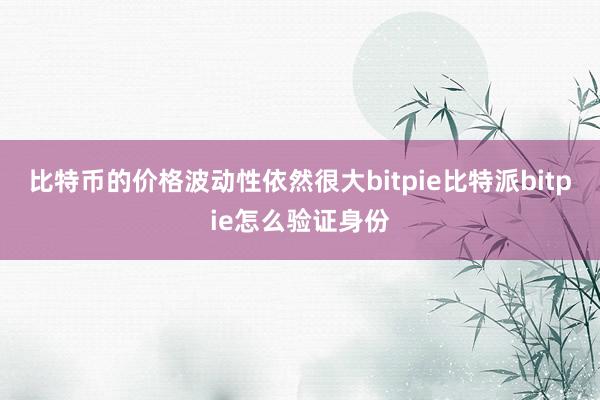 比特币的价格波动性依然很大bitpie比特派bitpie怎么验证身份