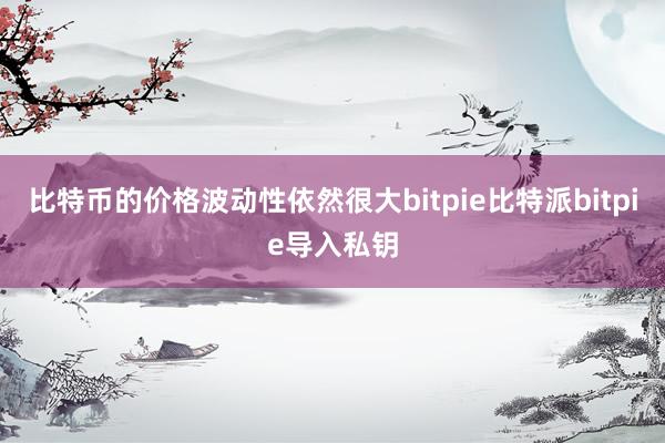 比特币的价格波动性依然很大bitpie比特派bitpie导入私钥