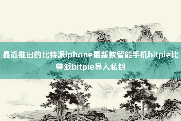 最近推出的比特派iphone最新款智能手机bitpie比特派bitpie导入私钥