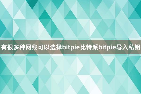 有很多种网线可以选择bitpie比特派bitpie导入私钥