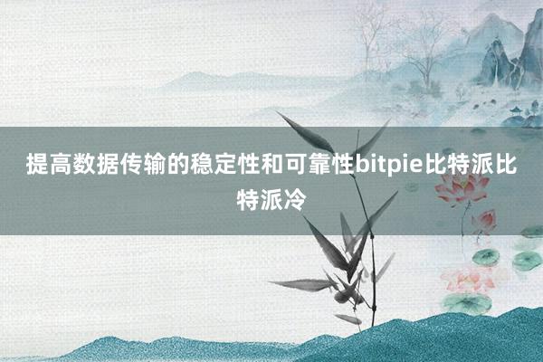 提高数据传输的稳定性和可靠性bitpie比特派比特派冷