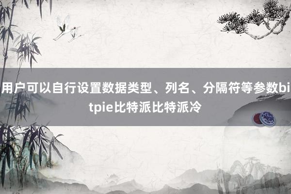 用户可以自行设置数据类型、列名、分隔符等参数bitpie比特派比特派冷