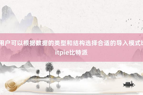 用户可以根据数据的类型和结构选择合适的导入模式bitpie比特派