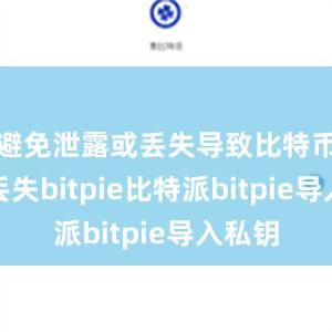 避免泄露或丢失导致比特币资产丢失bitpie比特派bitpie导入私钥