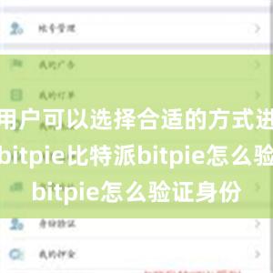 用户可以选择合适的方式进行验证bitpie比特派bitpie怎么验证身份