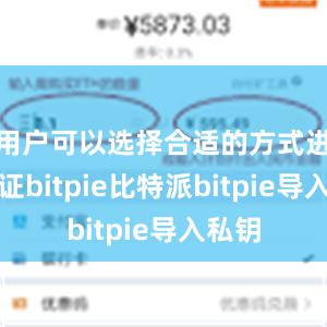 用户可以选择合适的方式进行验证bitpie比特派bitpie导入私钥