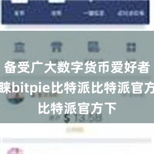 备受广大数字货币爱好者青睐bitpie比特派比特派官方下