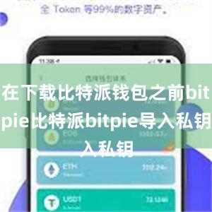 在下载比特派钱包之前bitpie比特派bitpie导入私钥