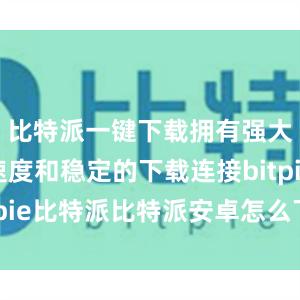 比特派一键下载拥有强大的下载速度和稳定的下载连接bitpie比特派比特派安卓怎么下载安装