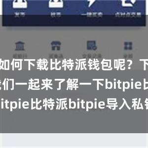 如何下载比特派钱包呢？下面就让我们一起来了解一下bitpie比特派bitpie导入私钥