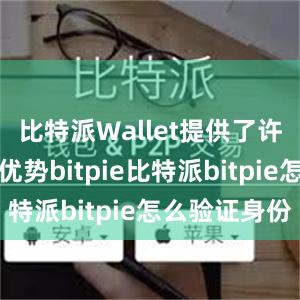 比特派Wallet提供了许多功能和优势bitpie比特派bitpie怎么验证身份