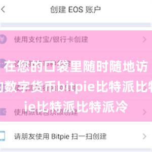 在您的口袋里随时随地访问您的数字货币bitpie比特派比特派冷