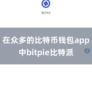 在众多的比特币钱包app中bitpie比特派