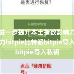 进一步提升本土指数影响力竞争力bitpie比特派bitpie导入私钥