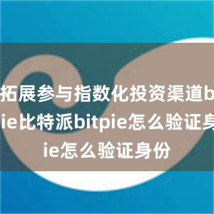 拓展参与指数化投资渠道bitpie比特派bitpie怎么验证身份