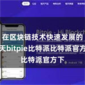 在区块链技术快速发展的今天bitpie比特派比特派官方下