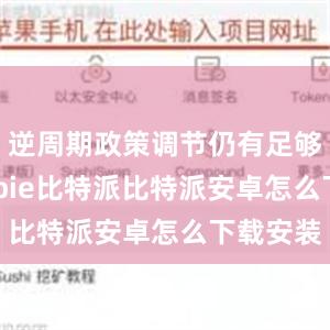 逆周期政策调节仍有足够空间bitpie比特派比特派安卓怎么下载安装