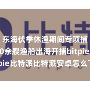 东海伏季休渔期间专项捕捞9600余艘渔船出海开捕bitpie比特派比特派安卓怎么下载安装