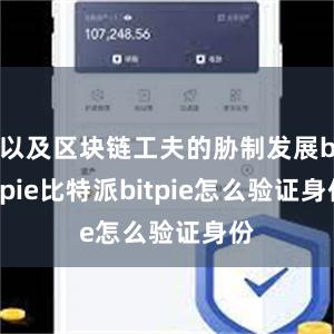 以及区块链工夫的胁制发展bitpie比特派bitpie怎么验证身份