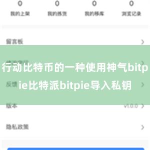 行动比特币的一种使用神气bitpie比特派bitpie导入私钥