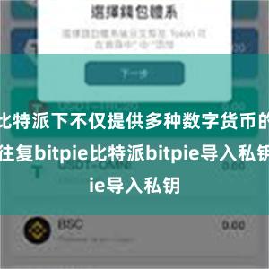 比特派下不仅提供多种数字货币的往复bitpie比特派bitpie导入私钥