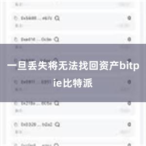 一旦丢失将无法找回资产bitpie比特派