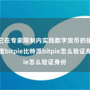 它在专家限制内实践数字货币的接受度bitpie比特派bitpie怎么验证身份