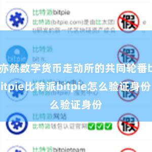 亦然数字货币走动所的共同轮番bitpie比特派bitpie怎么验证身份