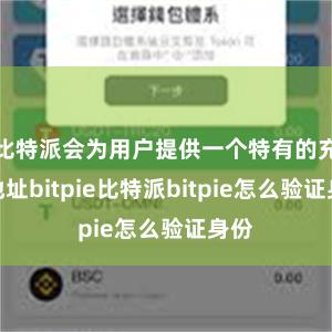 比特派会为用户提供一个特有的充值地址bitpie比特派bitpie怎么验证身份