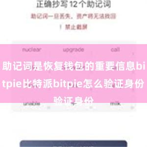 助记词是恢复钱包的重要信息bitpie比特派bitpie怎么验证身份