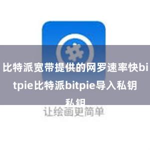 比特派宽带提供的网罗速率快bitpie比特派bitpie导入私钥