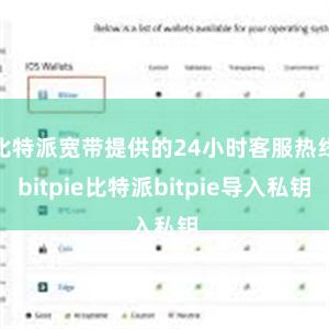 比特派宽带提供的24小时客服热线bitpie比特派bitpie导入私钥