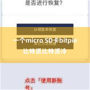 一个micro SD卡bitpie比特派比特派冷